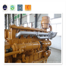 Biogas Generator Set Ce ISO Certified ISO 9001 50Hz/60Hz